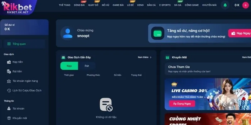 Giao diện giải trí RIKBET hỗ trợ người mới như thế nào?